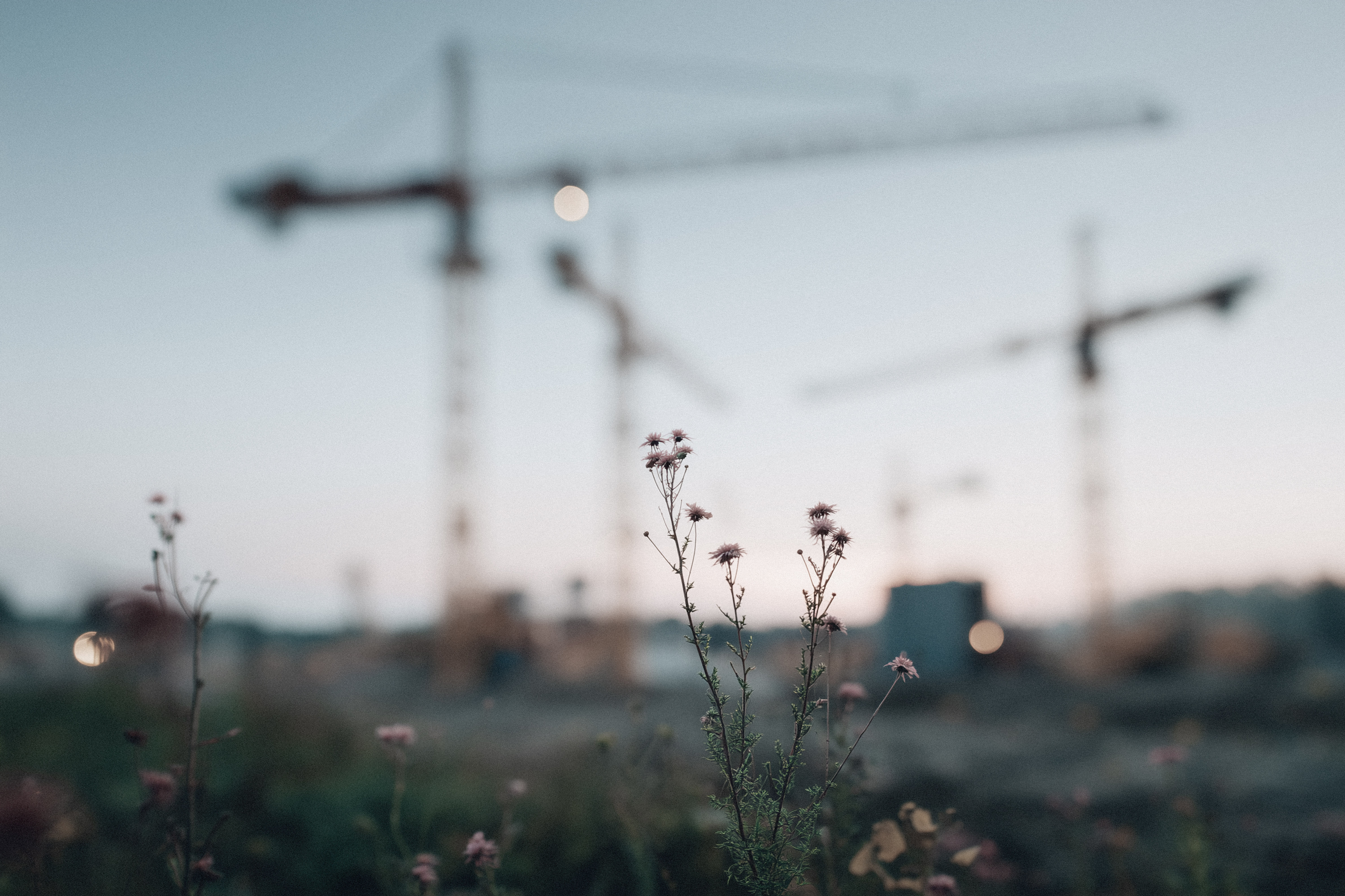 20260105 FWG Bauen 01