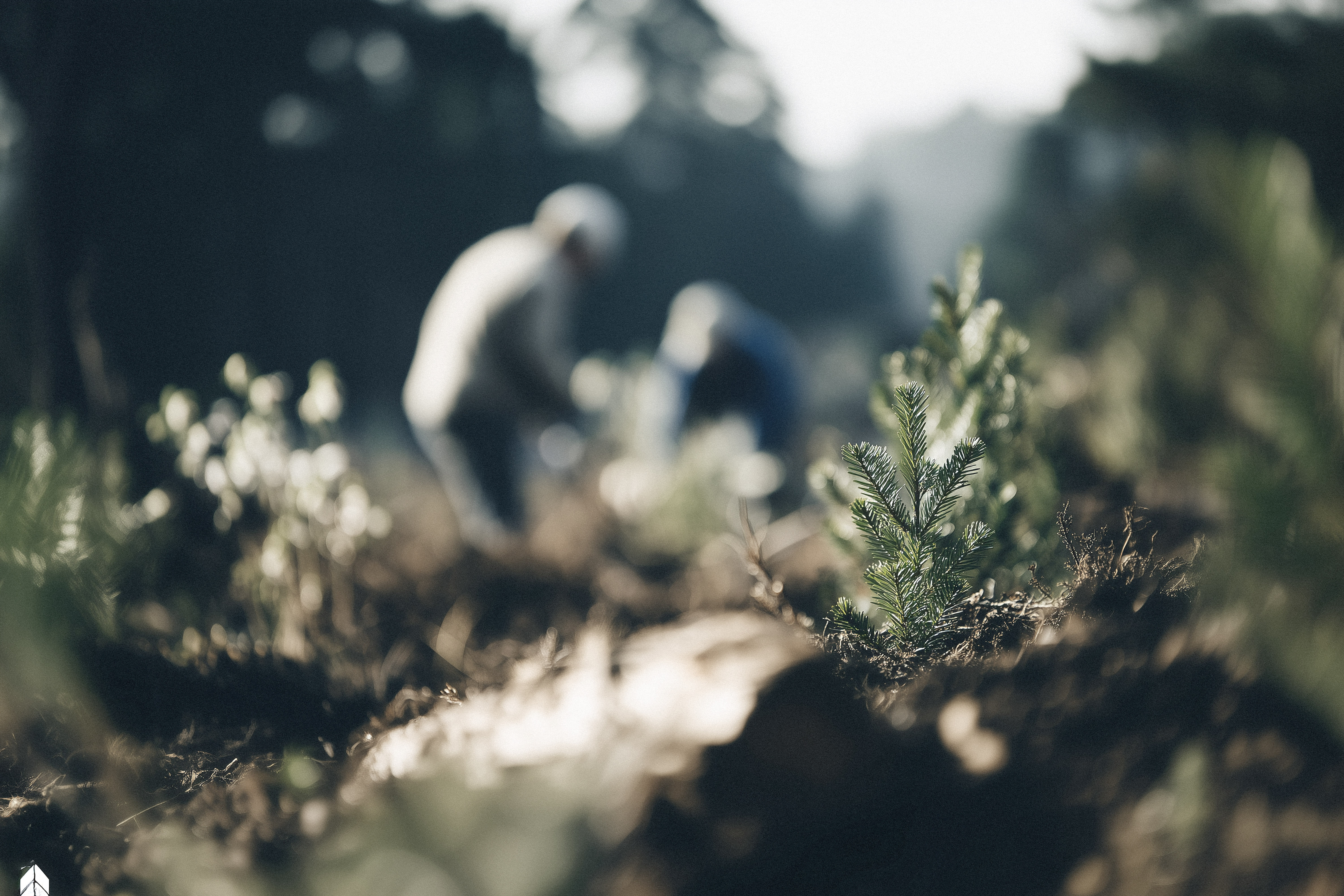 20260105 FWG Forst 01